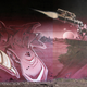 Illustration for article titled Walls of Wonder: Amazing Science Fiction and Fantasy-Themed Murals